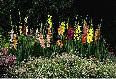 Fami通新一周销量榜 《马力欧派对：超级巨星》三连冠